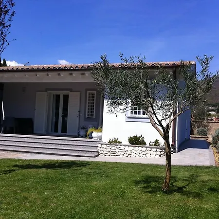 Skipper White Guest House-2
